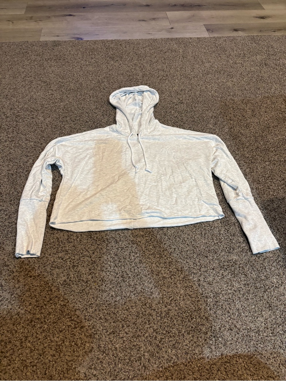 Nike Light Gray Cropped Hoodie Sweater - Women